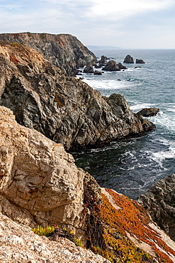 Sonoma Coast, California, United States of America, North America