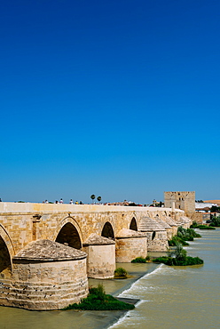 Roman Bridge, UNESCO World Heritage Site, over Guadalquivir River, Cordoba, Andalucia, Spain, Europe