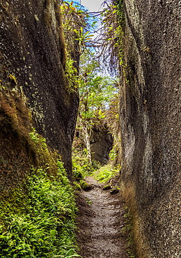 Rock Labyrinth, Asilo de la Paz, Highlands of Floreana (Charles) Island, Galapagos, UNESCO World Heritage Site, Ecuador, South America