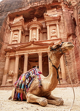 Camel in front of The Treasury (Al-Khazneh), Petra, UNESCO World Heritage Site, Ma'an Governorate, Jordan, Middle East