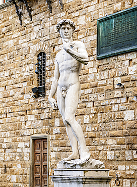 David Statue, Piazza della Signoria, Florence, UNESCO World Heritage Site, Tuscany, Italy, Europe