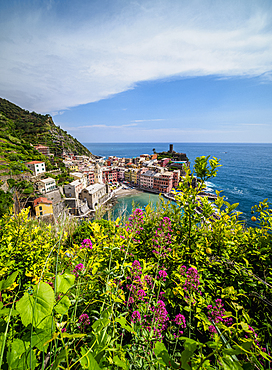 Vernazza Village, elevated view, Cinque Terre, UNESCO World Heritage Site, Liguria, Italy, Europe