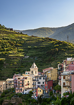 Manarola, Cinque Terre, UNESCO World Heritage Site, Liguria, Italy, Europe