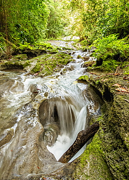 Reach Falls River, Portland Parish, Jamaica, West Indies, Caribbean, Central America