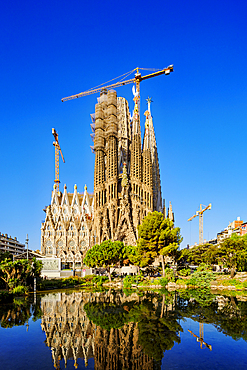 Basilica of Sagrada Familia at sunrise, Barcelona, Catalonia, Spain