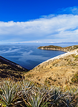 Island of the Sun, Titicaca Lake, La Paz Department, Bolivia, South America