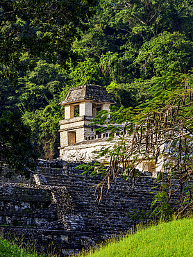 View towards The Palace, Palenque Archaeological Site, Palenque, Chiapas State, Mexico