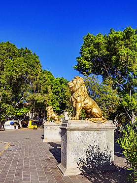 Lions at El Llano Park, Oaxaca de Juarez, Oaxaca State, Mexico