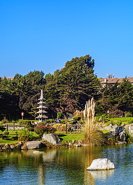 Japanese Garden, La Serena, Coquimbo Region, Chile, South America