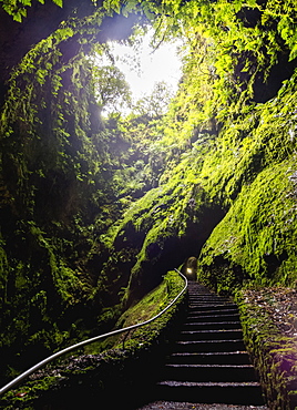 Gruta do Algar do Carvao, cave, Terceira Island, Azores, Portugal, Atlantic, Europe