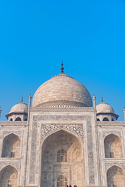 Details of the Taj Mahal, UNESCO World Heritage Site, Agra, Uttar Pradesh, India, Asia