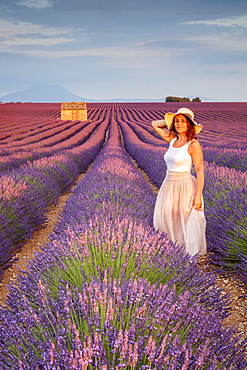 Woman with hat in lavender fields, Plateau de Valensole, Alpes-de-Haute-Provence, Provence-Alpes-Cote d'Azur, France, Europe