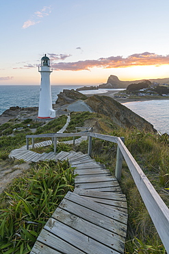 Castlepoint lighthouse and Castle Rock at sunset, Castlepoint, Wairarapa region, North Island, New Zealand, Pacific