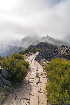 Mist on the mountains of Vereda do Areeiro, the trail that links Pico Ruivo to Pico do Arieiro. Funchal, Madeira, Portugal, Atlantic, Europe