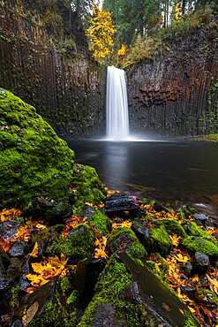 Abiqua Falls in autumn, Scotts Mills, Marion county, Oregon, United States of America, North America