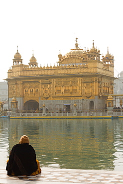 Sikh devotee of the Golden Temple, Amritsar, the Punjab, India, Asia