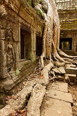 Angkor Wat, UNESCO World Heritage Site, Siem Reap, Cambodia, Indochina, Southeast Asia, Asia