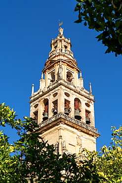 The Bell Tower (Torre de Alminar) of Mezquita de Cordoba (Great Mosque) (Cordoba Cathedral), Cordoba, Andalusia, Spain, Europe