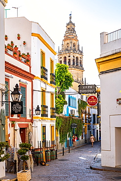 The Bell Tower of Cordoba Mosque Cathedral seen through a typical Andalusian street, Cordoba, Andalusia, Spain, Europe