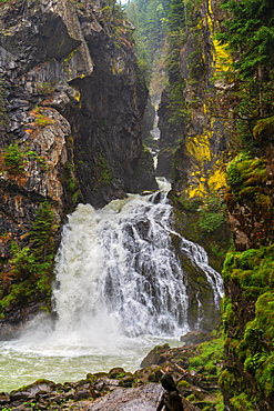 Riva waterfalls in summer, Campo Tures, Aurina Valley, Trentino-Alto Adige, Italy, Europe