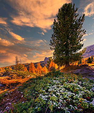 Nuvolau in autumn, Falzarego Pass, Dolomites, Veneto, Italy, Europe