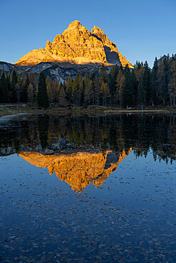 Drei Zinnen reflected in the water at sunset, Lake Antorno, Dolomites, Veneto, Italy, Europe