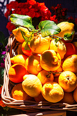 Fresh local basket of lemons in Manarola in Cinque Terre, province of La Spezia, in the Liguria region of Italy, Europe