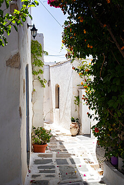 Traditional whitewashed house in Chora, Serifos, Cyclades, Greek Islands, Greece, Europe