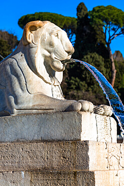 Fountain with Lions sculpture at the Piazza del Popolo (People Square), Rome, Lazio, Italy, Europe