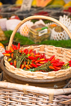 Chilli peppers on display at Campo de Fiori Market, Rome, Lazio, Italy, Europe