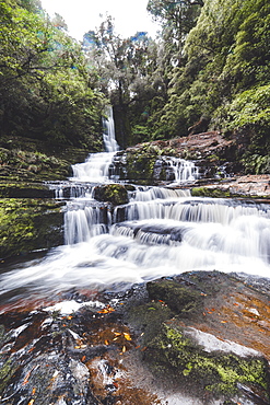 McLean Falls Walkway, Catlins Forest Park, South Island, New Zealand, Pacific