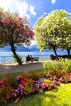 Two people sitting on a bench looking at the lake, Bellagio, Province of Como, Lake Como, Italian Lakes, Lombardy, Italy, Europe