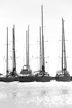 Moored boats in the port of Carloforte, San Pietro Island, Sud Sardegna province, Sardinia, Italy, Mediterranean, Europe