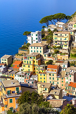 Traditional houses of Riomaggiore, Cinque Terre, UNESCO World Heritage Site, Liguria, Italy, Europe