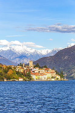 Village of Rezzonico with snowcapped mountains in the background, Lake Como, Lombardy, Italian Lakes, Italy, Europe