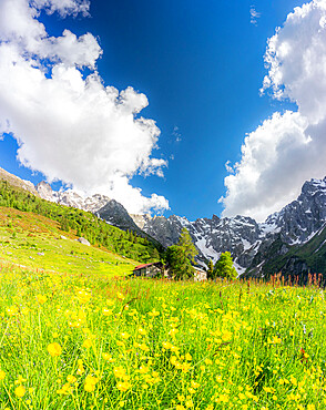 Lonely traditional group of huts in a wild alpine valley, Val d'Arigna, Orobie, Valtellina, Lombardy, Italy, Europe