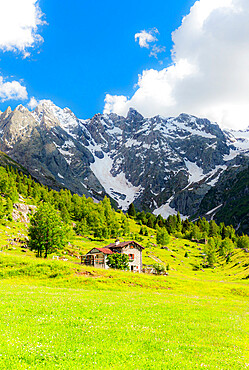 Lonely traditional hut in a wild alpine valley, Val d'Arigna, Orobie, Valtellina, Lombardy, Italy. Europe