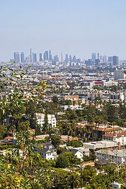 View of Downtown skyline from Hollywood Hills, Los Angeles, California, United States of America, North America