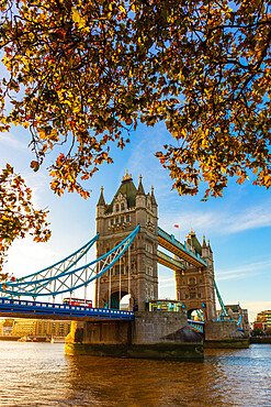 Autumn sunrise in grounds of the Tower of London, with Tower Bridge, London, England, United Kingdom, Europe