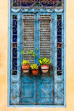 Plants in pots hanging on ornate doorway, Havana, Cuba, West Indies, Central America