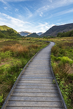 A raised path in the Borrowdale Valley with Castle Crag the prominent hill in the centre of image, Lake District National Park, UNESCO World Heritage Site, Cumbria, England, United Kingdom, Europe