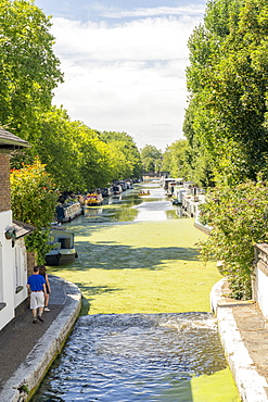 Canal boats, Little Venice, London, England, United Kingdom, Europe