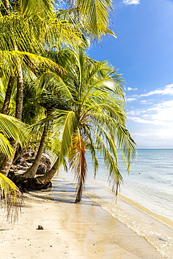 A view of the Caribbean sea off Bocas del Drago beach, Colon Island, Bocas del Toro Islands, Panama, Central America