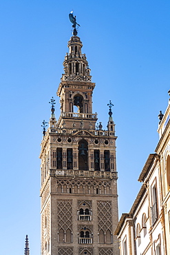 La Giralda, the bell tower of the Cathedral of Seville, originally the minaret for the Great Mosque of Seville, UNESCO World Heritage Site, Seville, Andalucia, Spain, Europe