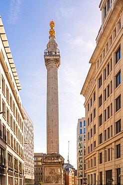 Monument to the Great Fire of London, City of London, London, England, United Kingdom, Europe