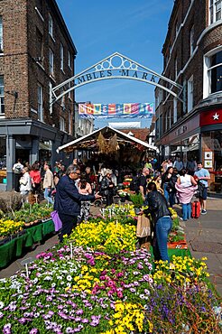 Flowers at the entrance to Shambles Market, York, North Yorkshire