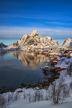 The fishing village of Reine in winter, Reinefjord, Moskenesoya, Lofoten, Arctic, Norway, Europe