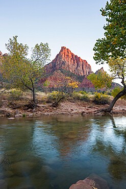 View from the Pa'rus Trail across the Virgin River to the Watchman at sunset, autumn, Zion National Park, Utah, United States of America, North America