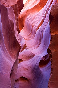 The colourful Navajo sandstone walls of Lower Antelope Canyon, sculpted by water into abstract patterns, Page, Arizona, United States of America, North America