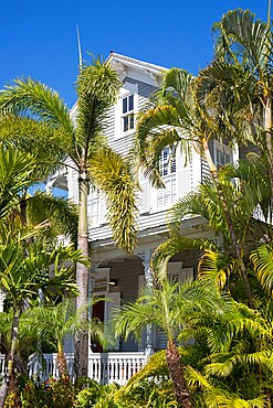 View through palm trees to facade of a typical wooden house, Old Town, Key West, Florida Keys, Florida, United States of America, North America